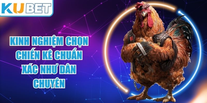 Kinh Nghiệm Chọn Chiến Kê